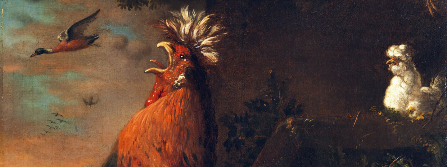 Proud rooster, by Jan van Oolen