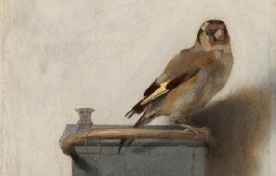 The Goldfinch, by Carel Fabritius