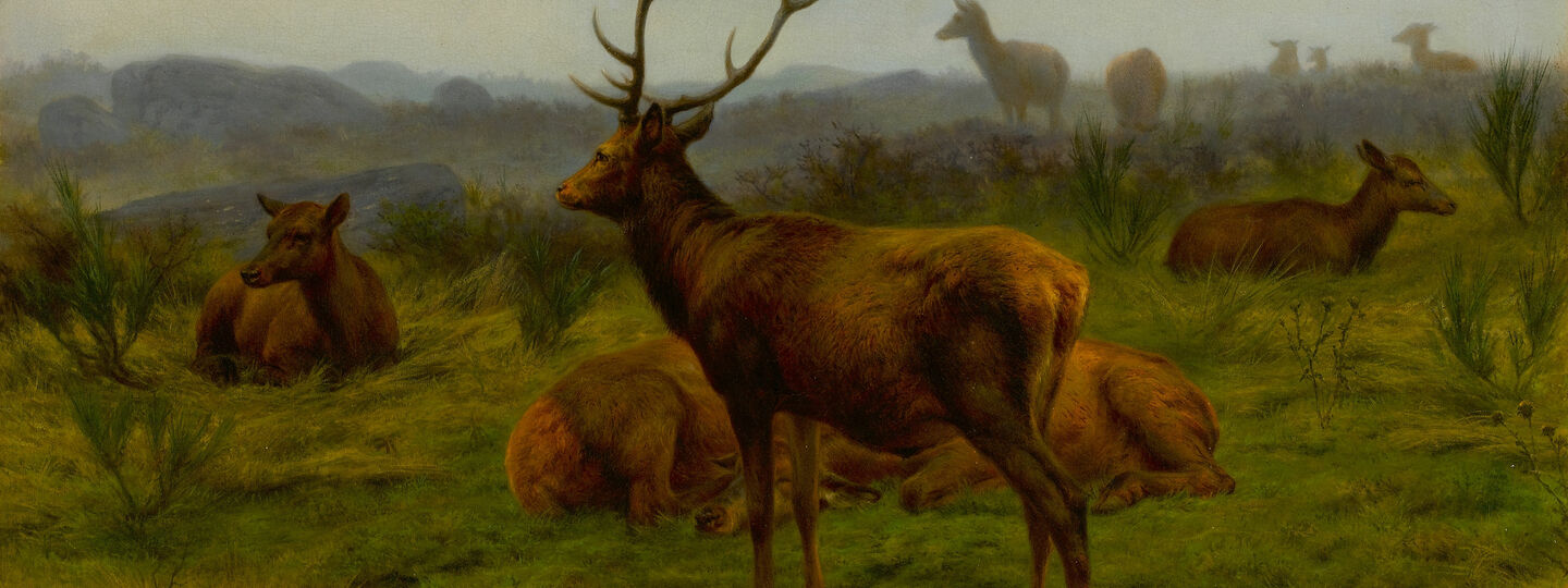 The Monarch of the herd, by Rosa Bonheur