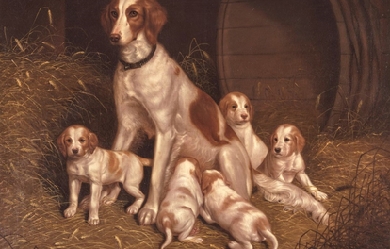 Setter Bitch and Pups, by Thomas Hewes Hinckley