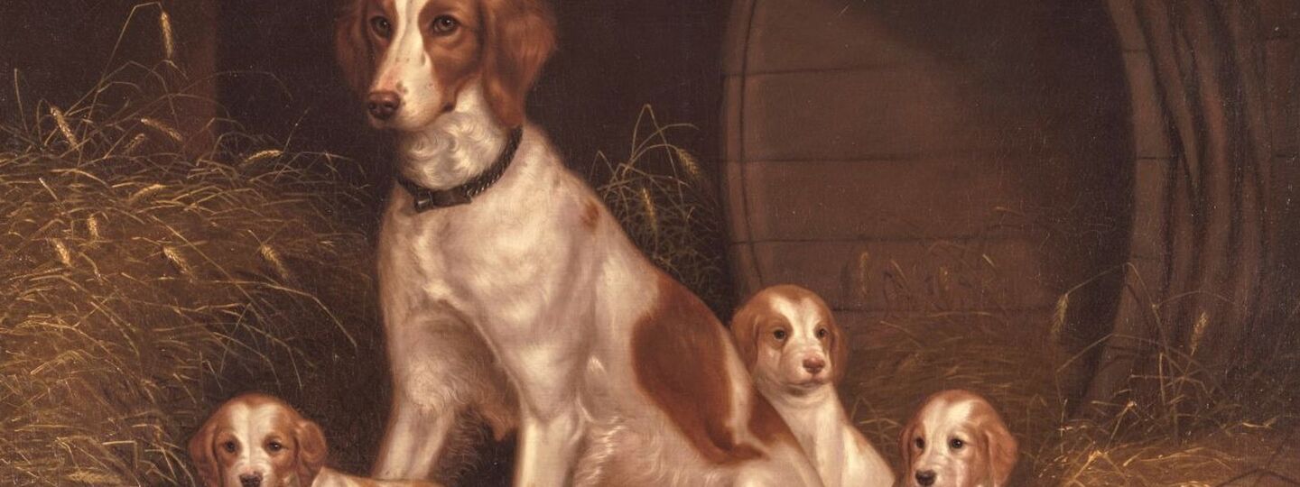 Setter Bitch and Pups, by Thomas Hewes Hinckley