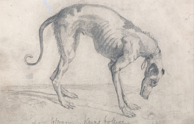 A Starved Greyhound, by John Sell Cotman