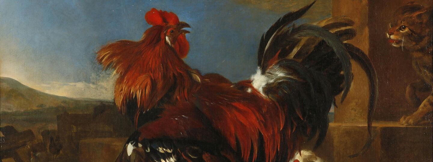 Poultry-yard with angered cock, by Melchior d'Hondecoeter