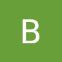 Braaulio