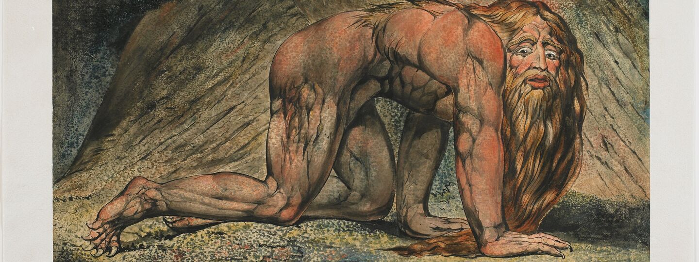 Nebuchadnezzar, by William Blake