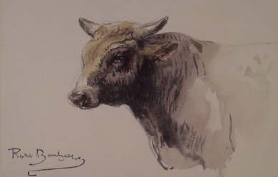 Head of a Bull, by Rosa Bonheur