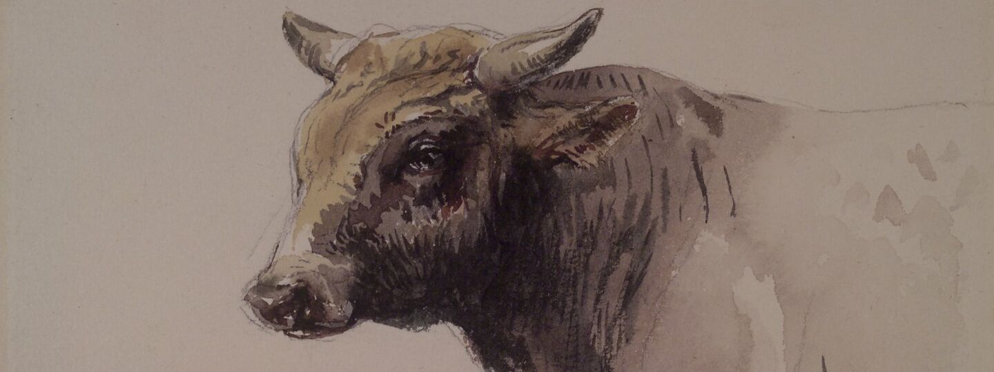 Head of a Bull, by Rosa Bonheur