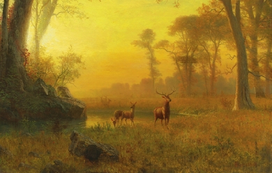 Light in the Forest, by Albert Bierstadt