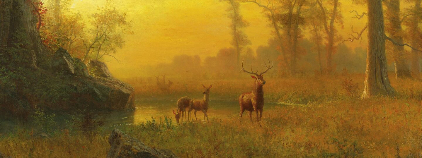 Light in the Forest, by Albert Bierstadt