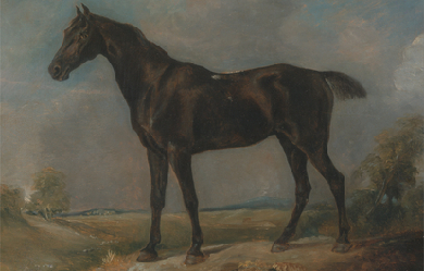 Golding Constable's Black Riding-Horse, by John Constable