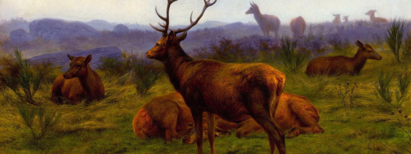 The Monarch of the herd, by Rosa Bonheur