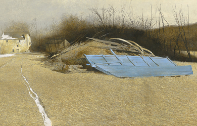 Flood Plain, by Andrew Wyeth