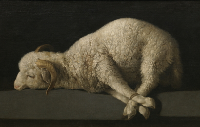 The Lamb of God, by Francisco de Zurbarán