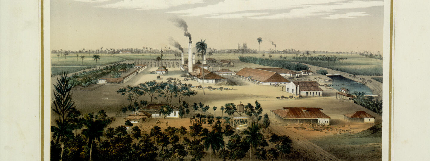 Tinguaro sugar mill, by Eduardo Laplante