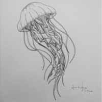 Gabriel Roots