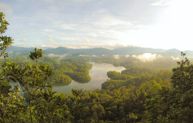 View of river and tropical jungle