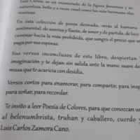 Luis Carlos Zamora Cano