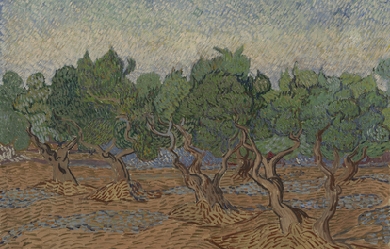 Olive groove, by Vincent van Gogh