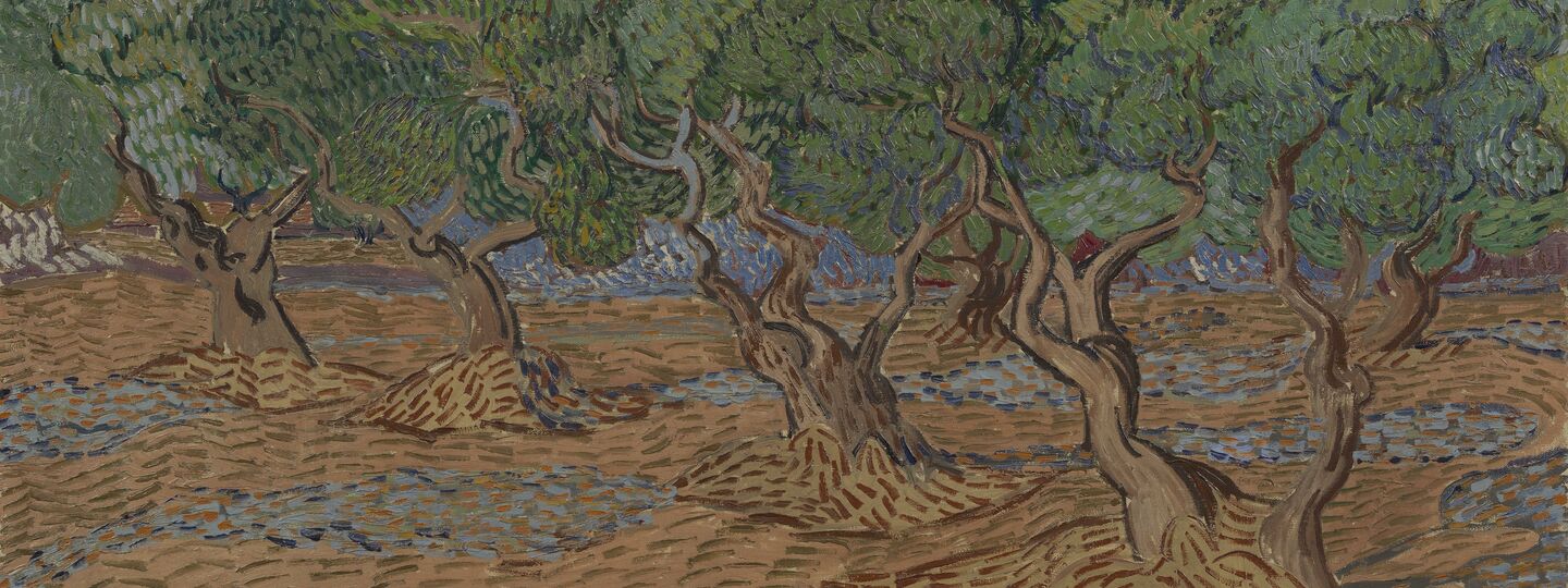 Olive groove, by Vincent van Gogh