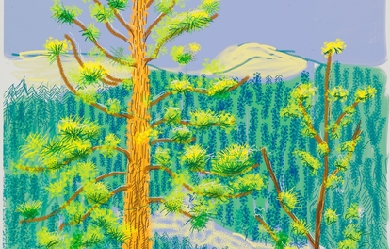 Untitled No.8 from The Yosemite Suite, by David Hockney