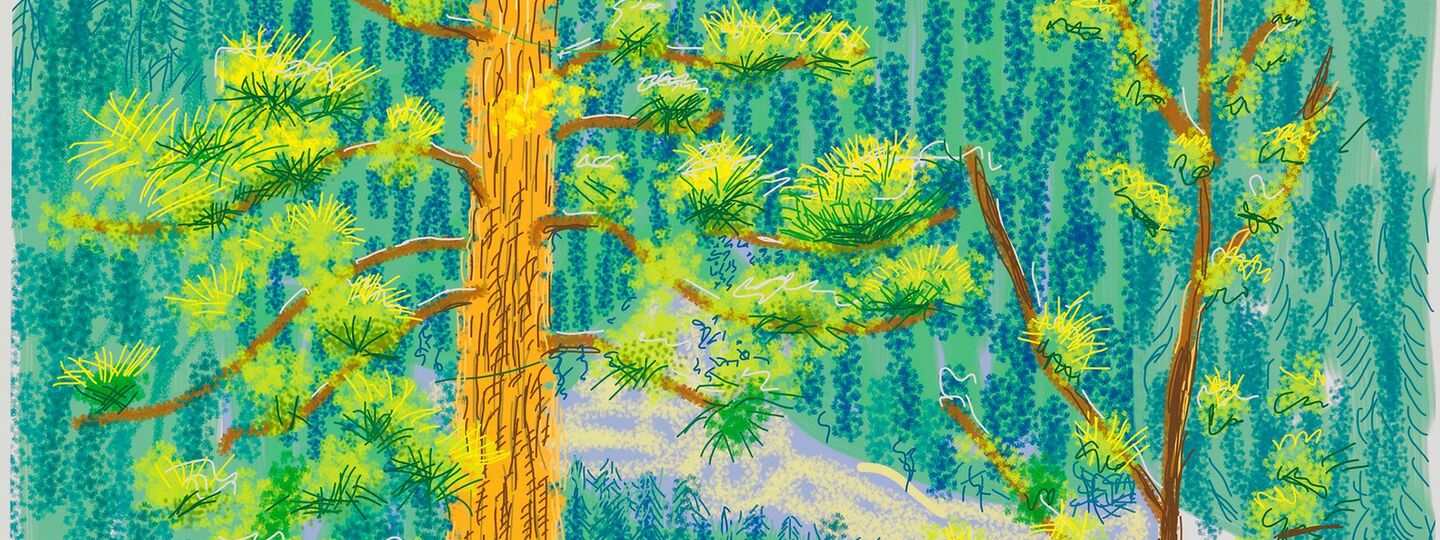 Untitled No.8 from The Yosemite Suite, by David Hockney