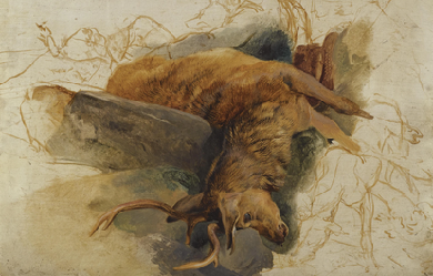 Dying Stag, by Edwin Landseer