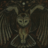 Monsoon owl