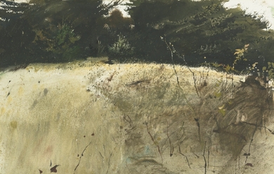 Fall Grasses, by Andrew Wyeth