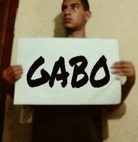 Gabriel Alejandro Benitez Fernandez