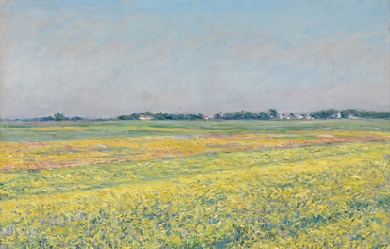 The plain of Gennevilliers, yellow fields, by Gustave Caillebotte