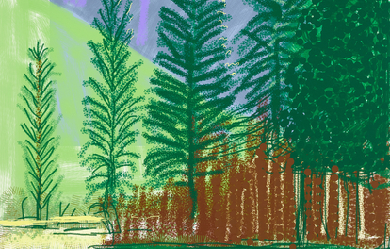 Untitled No.12, by David Hockney