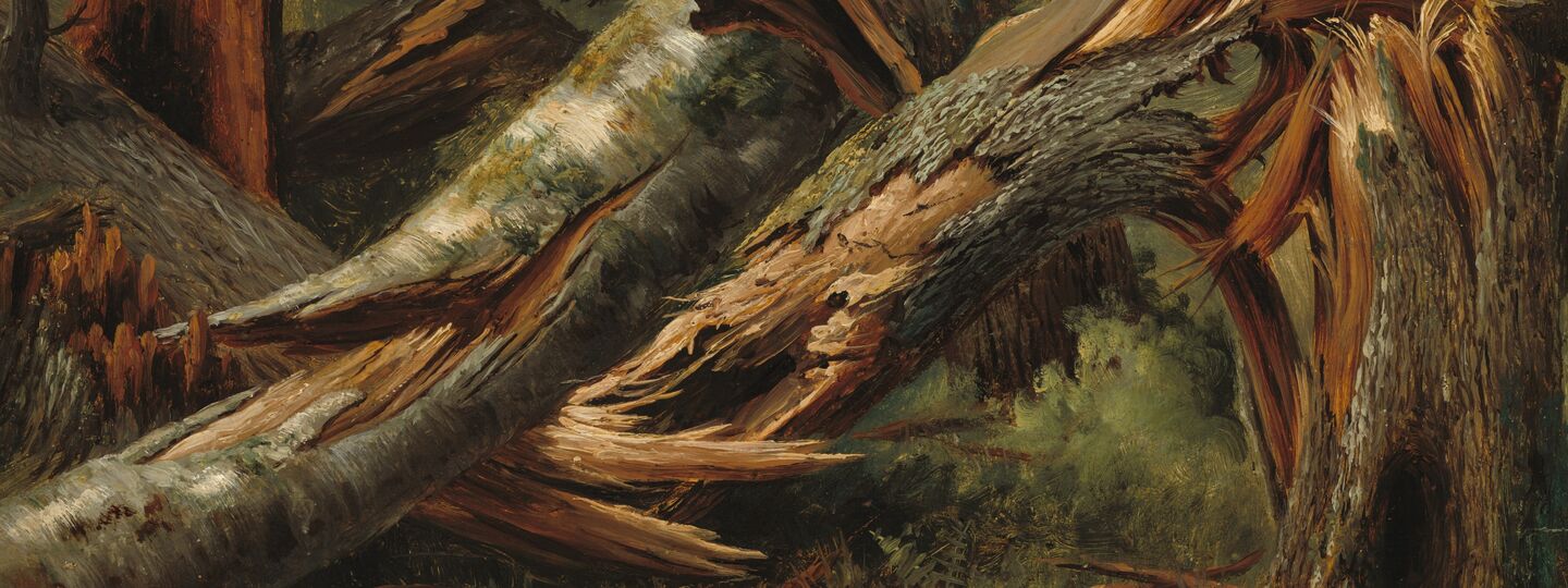 Fallen Tree, by Alexandre Calame