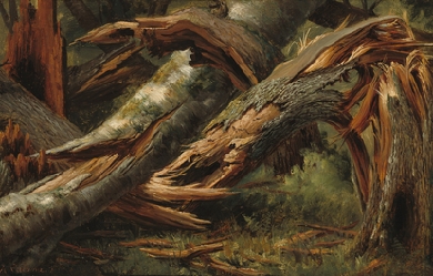 Fallen Tree, by Alexandre Calame