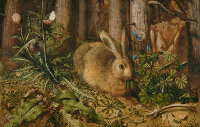 A Hare in the Forest, by Hans Hoffmann