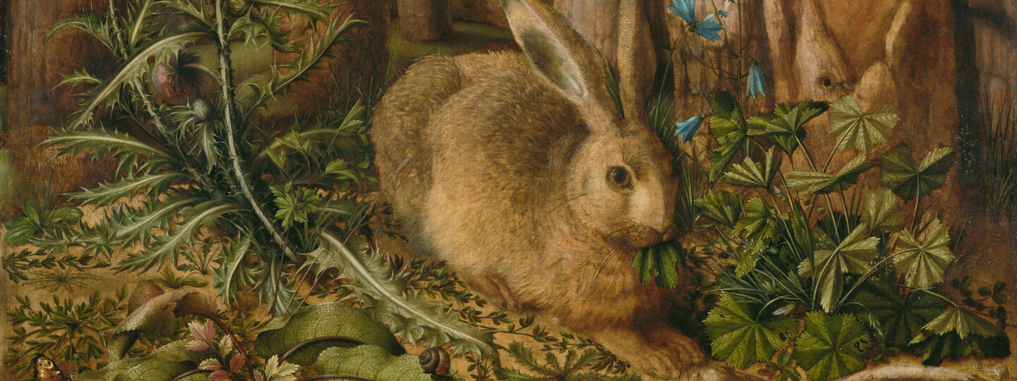 A Hare in the Forest, by Hans Hoffmann