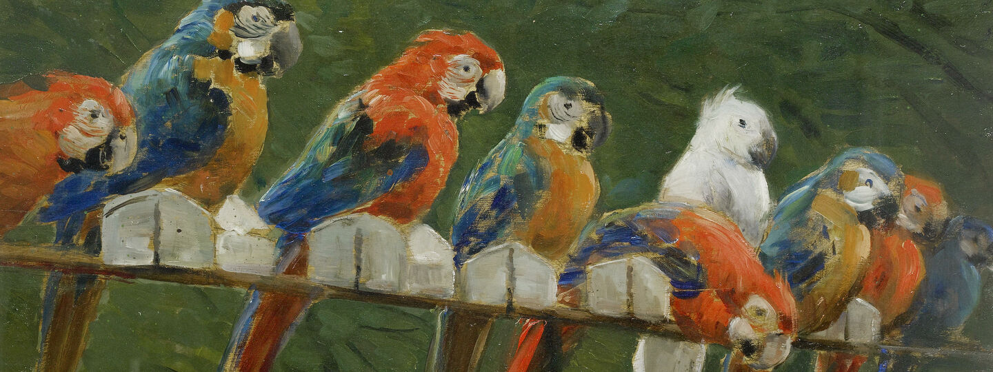 Parrots, by Alceste Campriani