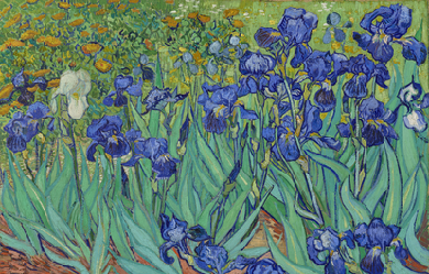 Irises, by Vincent van Gogh