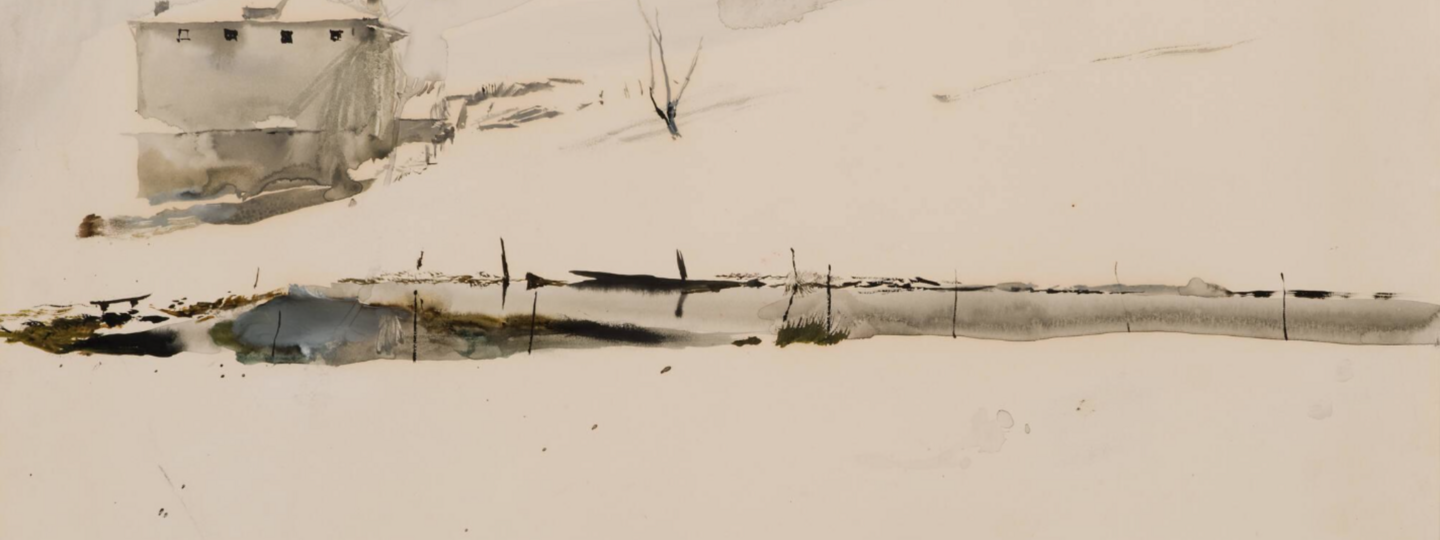 Farm Pond, by Andrew Wyeth