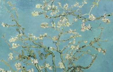 Almond blossom, by Vincent van Gogh