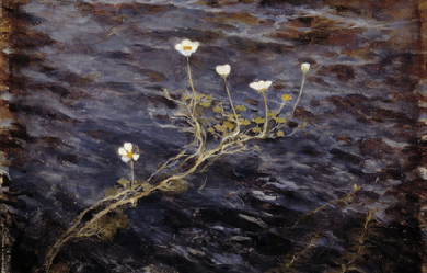 Pond Water Crowfoot, by Eero Järnefelt