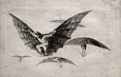 Fly mode, by Francisco de Goya