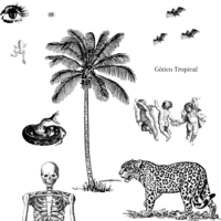 Amante de la ciénaga
