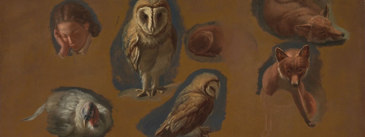 Studies of a Fox, a Barn Owl, a Peahen, and the Head of a Young Man, by Jacques-Laurent Agasse