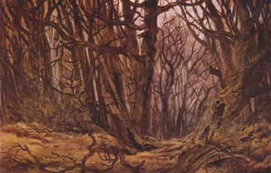 Forest in late autumn, by Caspar David Friedrich