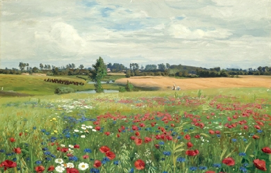 A field of cornflowers, poppies and daisies, by H. A. Brendekilde