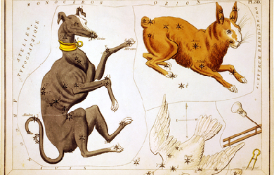 Canis Major, Lepus, Columba Noachi and Cela Sculptoris, by Sidney Hall