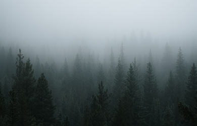 , by Zach Miller