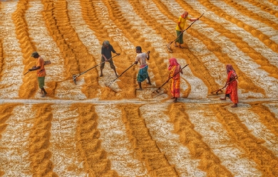 , by Dibakar Roy
